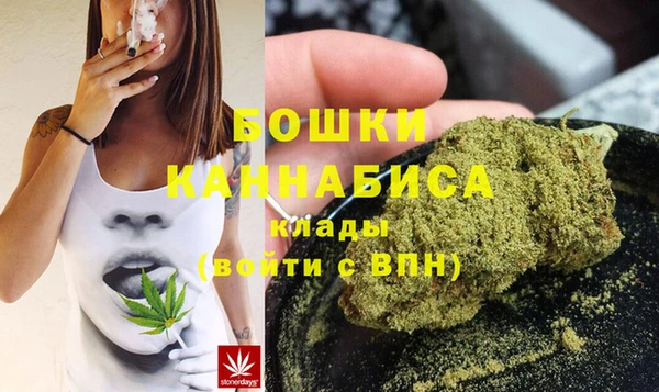 амф Заволжье