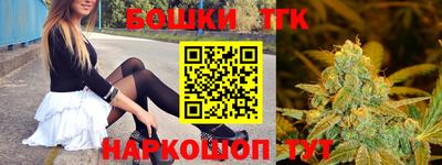 Альфа ПВП Бийск