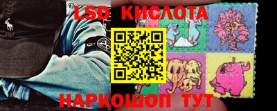 Альфа ПВП Бийск