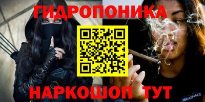 Альфа ПВП Бийск