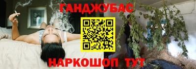 гидра Дубна