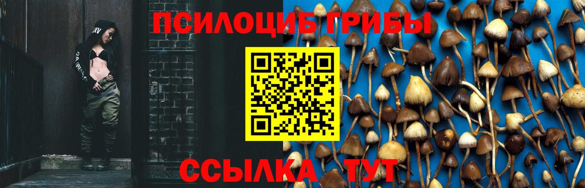 Галлюциногенные грибы мухоморы Кемерово