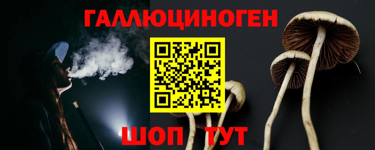 Псилоцибиновые грибы прущие грибы  Вход с VPN  Кемерово 